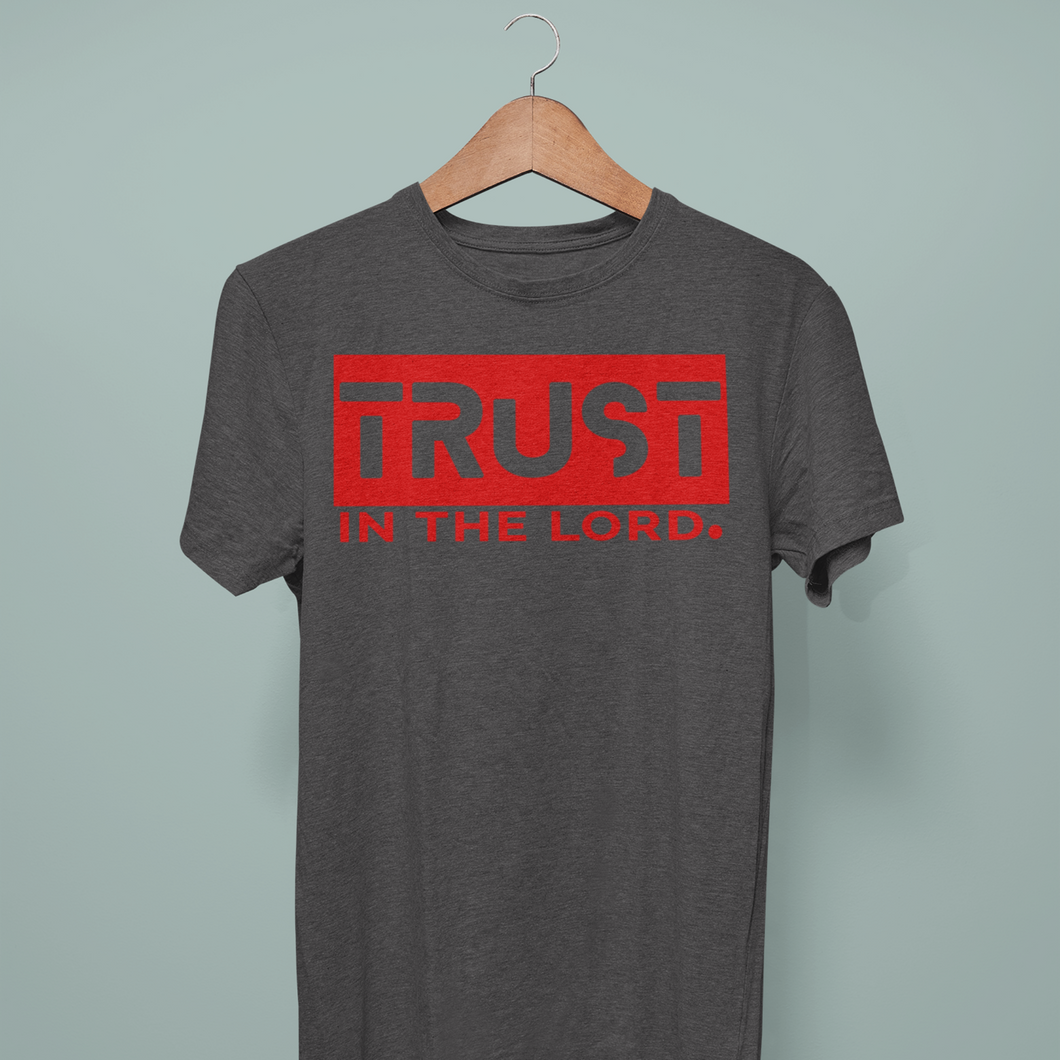 BOLD TRUST- Comfort Fit Tshirt